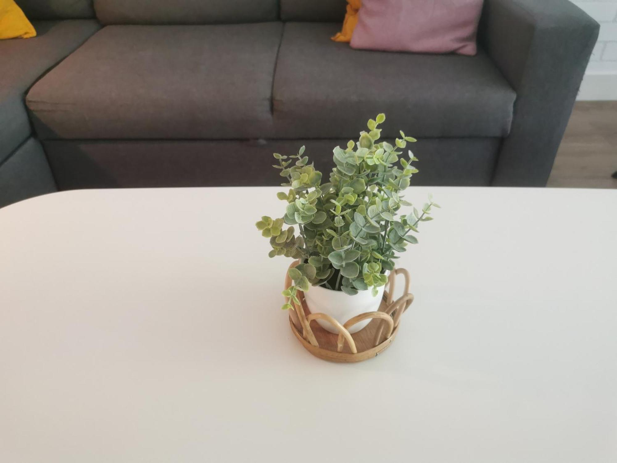 Yerseke Maarten & Hanh Luaran gambar